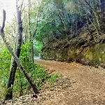 Un Paraiso En Tenerife