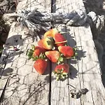 Feriehus Un Paraiso En Tenerife *
